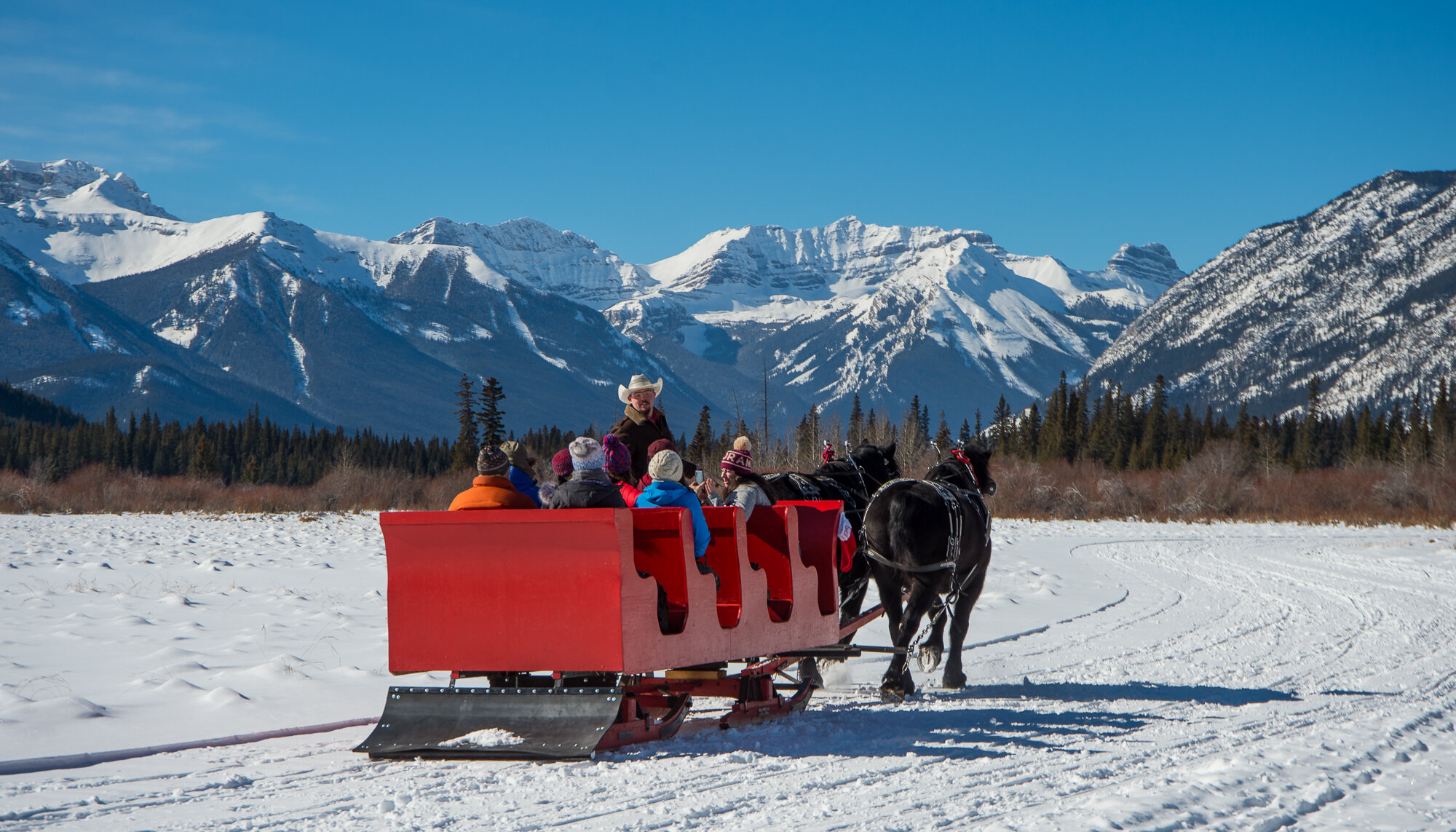 A sleigh ride on the open meadows in Banff