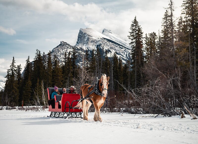 Private Sleigh ride in the meadows of Banff