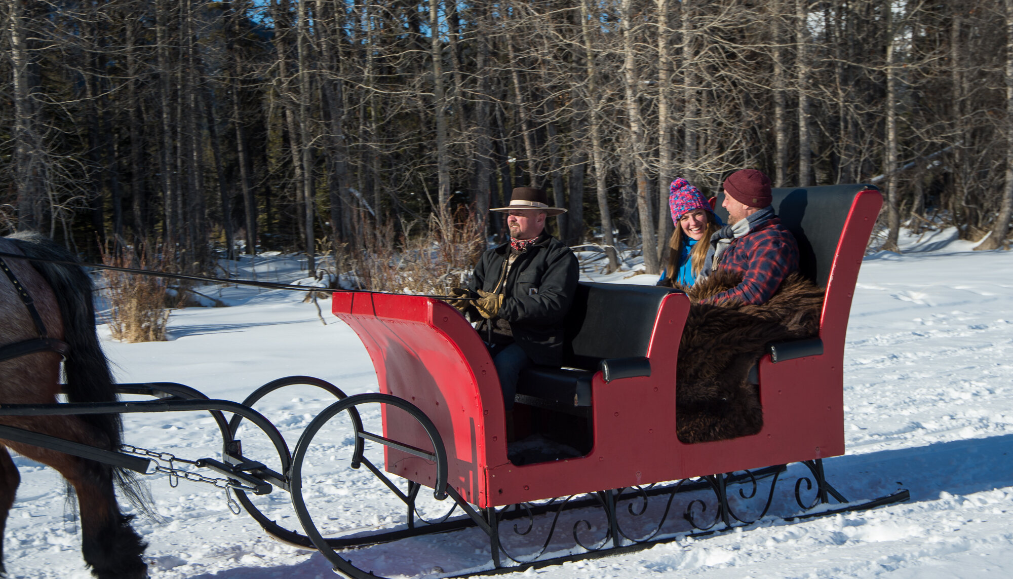 snuggle under the buffalo robe on a private sleigh ride