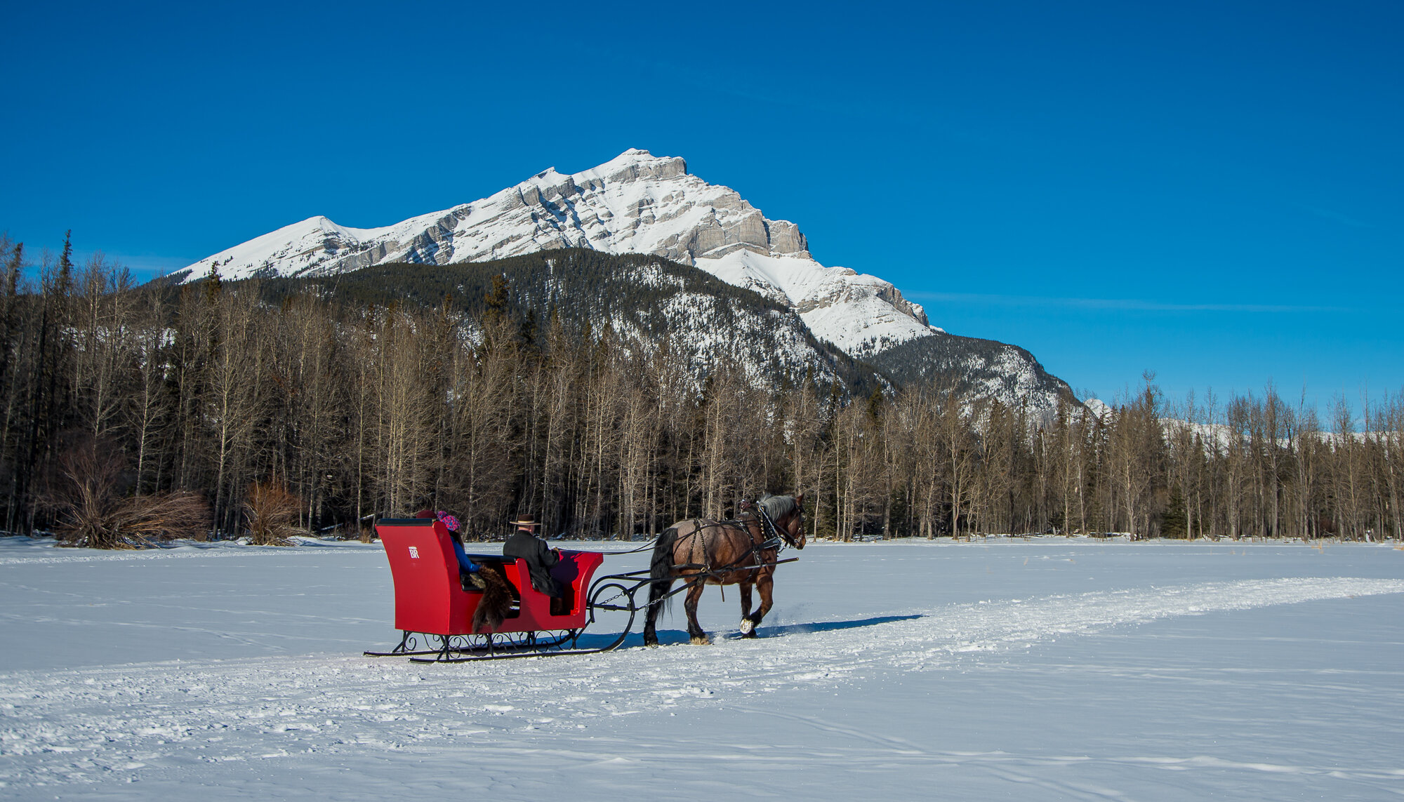 mountain views from a Banff private sleigh ride