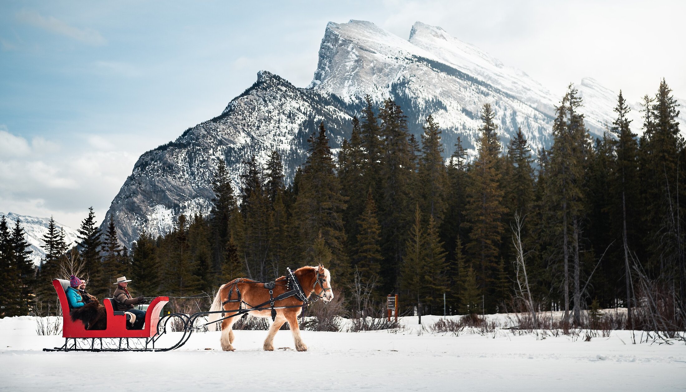 mountain views from a Banff private sleigh ride