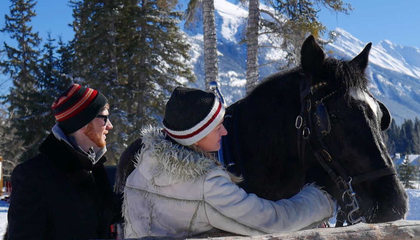 meet the horses before a private Banff sleigh ride