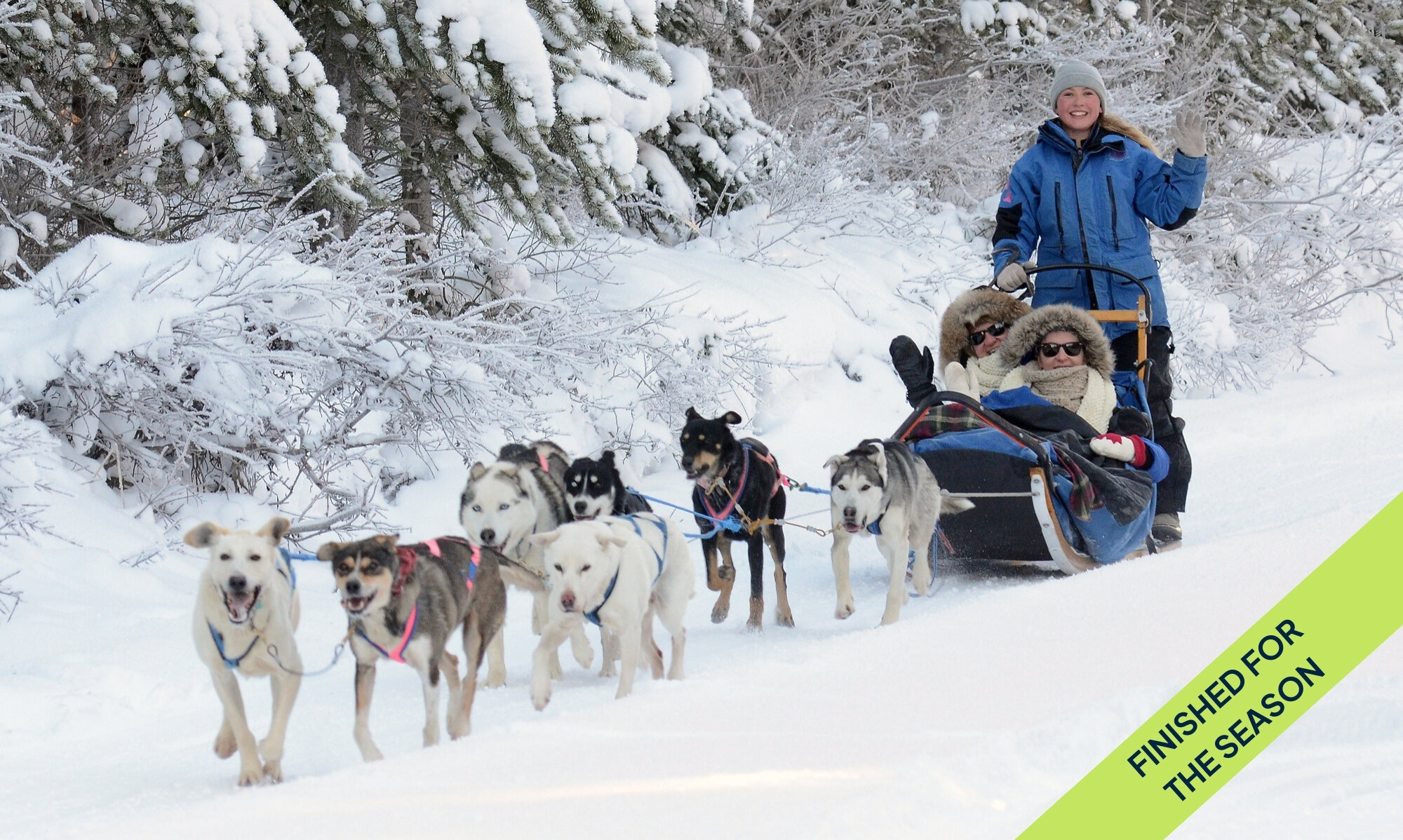 Two guests riding in a dog sled with the guide mushing behind.