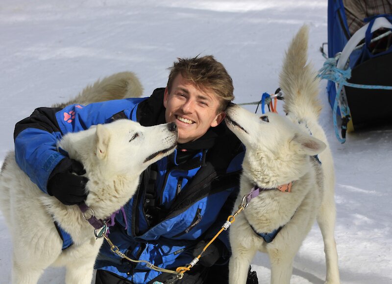 Dog cuddles on a dogsled tour