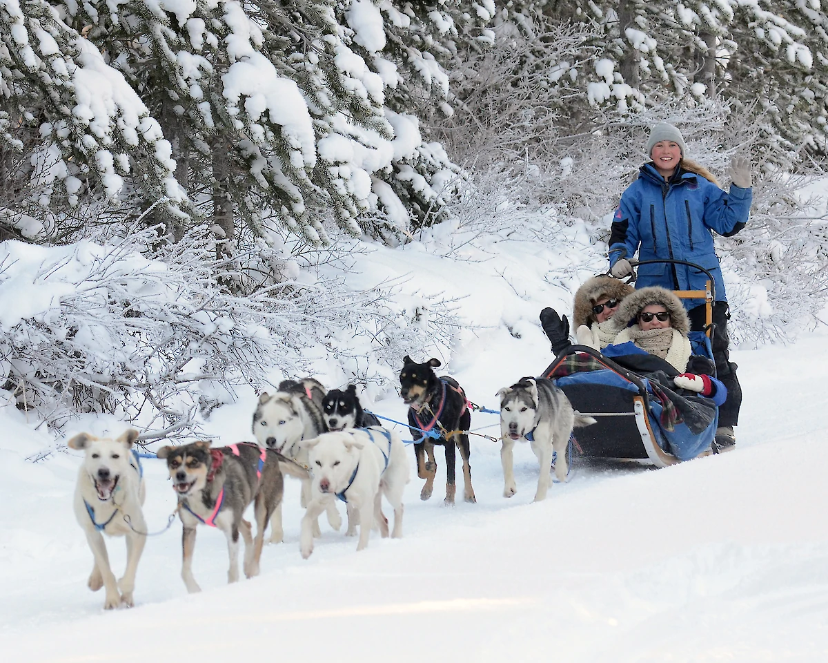 Two guests riding in a dog sled with the guide mushing behind.