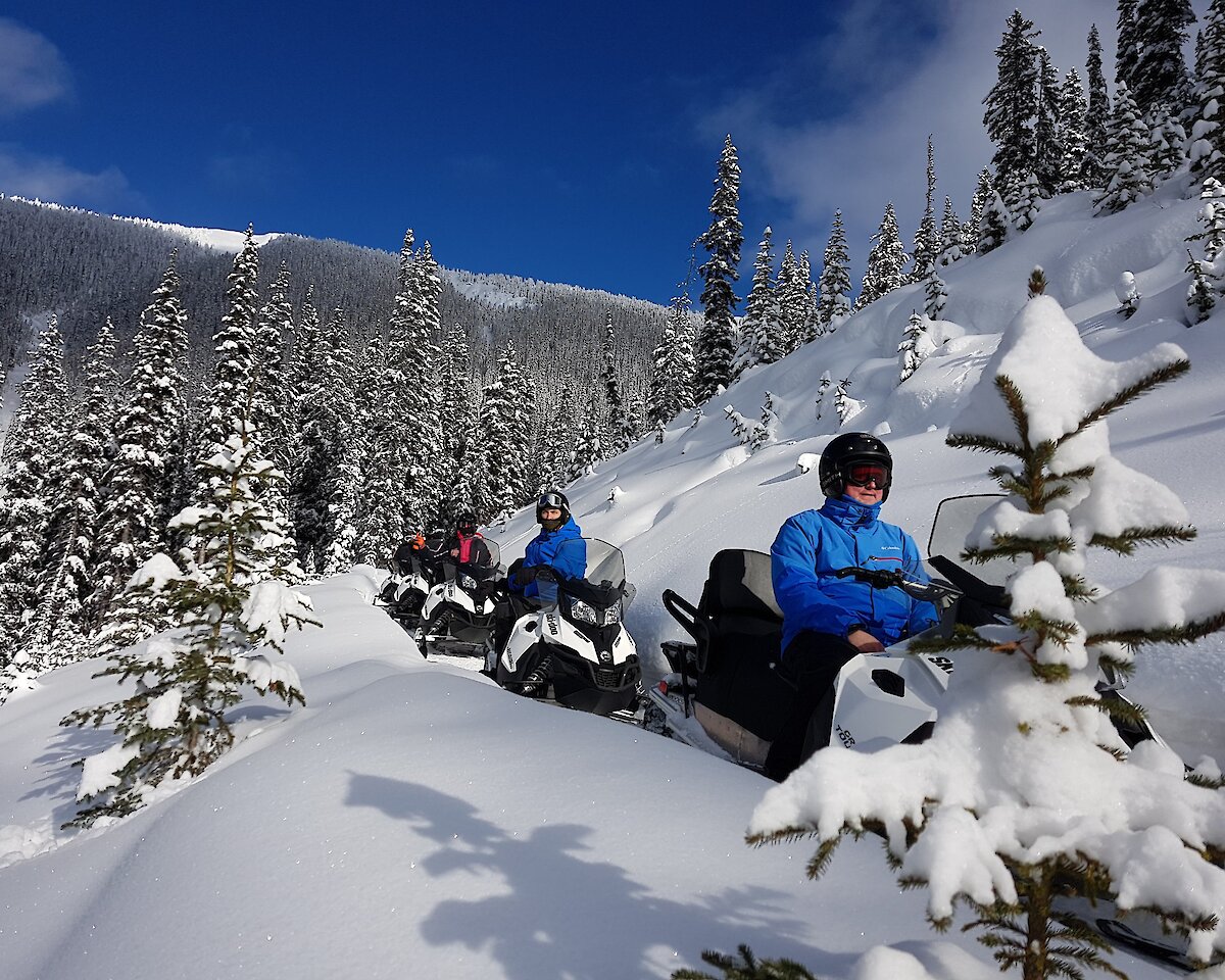 A group of snowmobilers on the trail in Golden