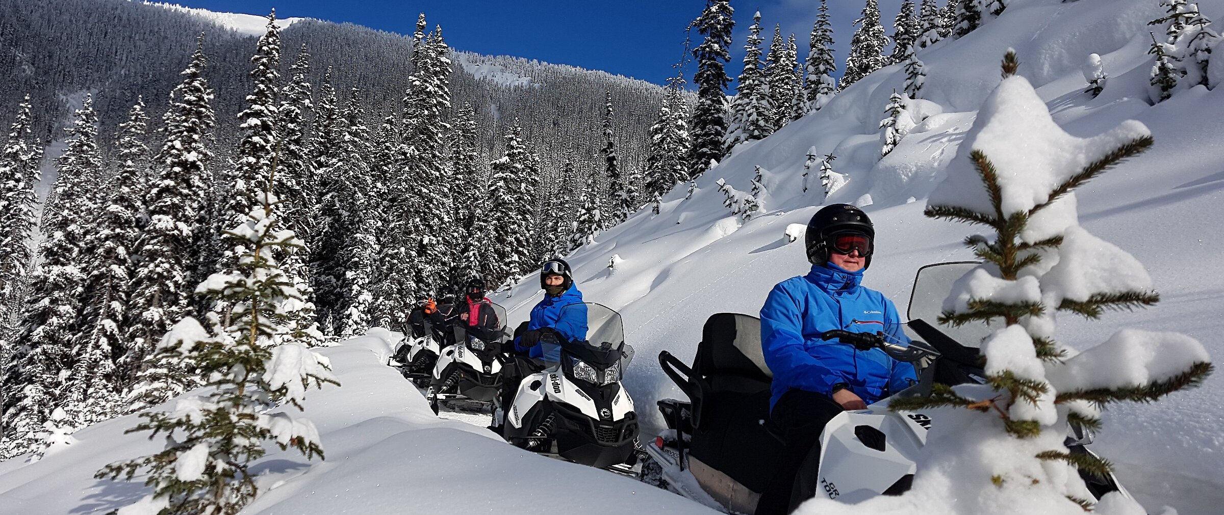 A group of snowmobilers on the trail in Golden