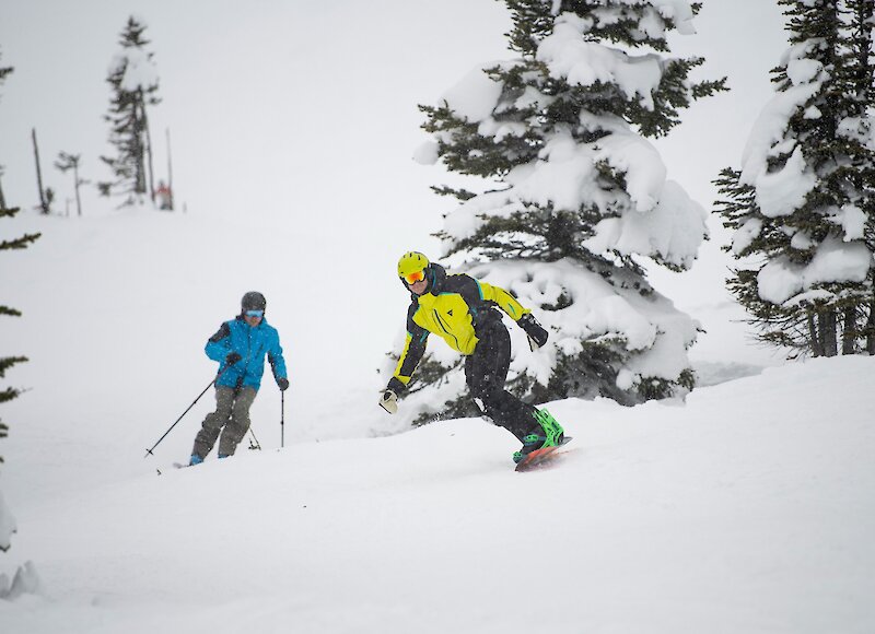 Enjoying the fresh powder at Kicking Horse Ski Resort