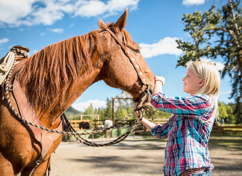 Girl getting to know the horses at Warner Stables in Banff