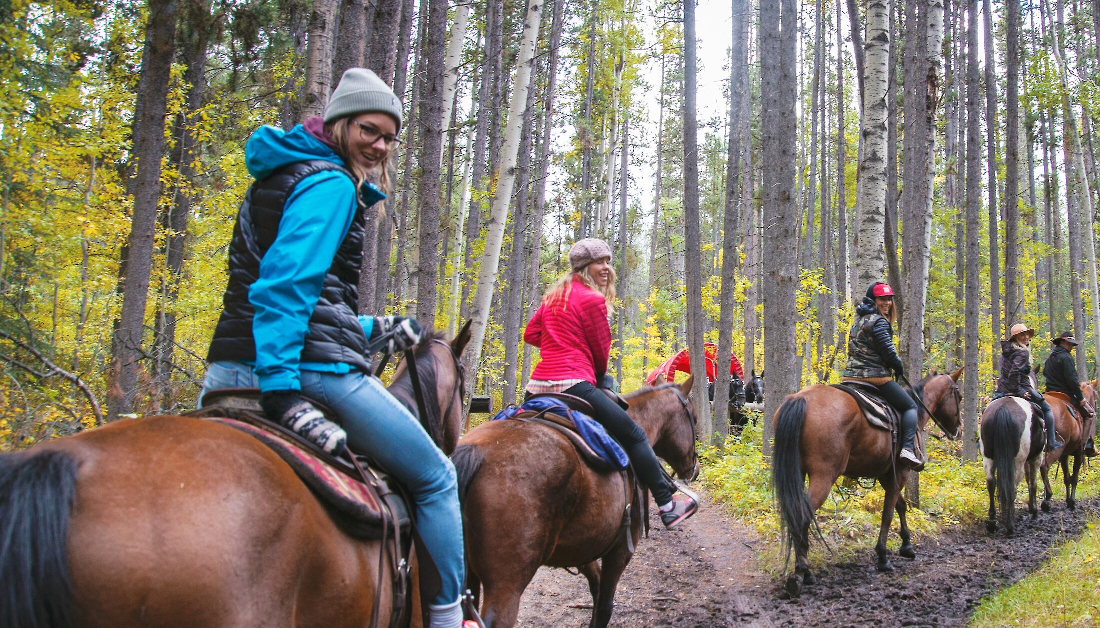 People riding horses in the trees in Banff