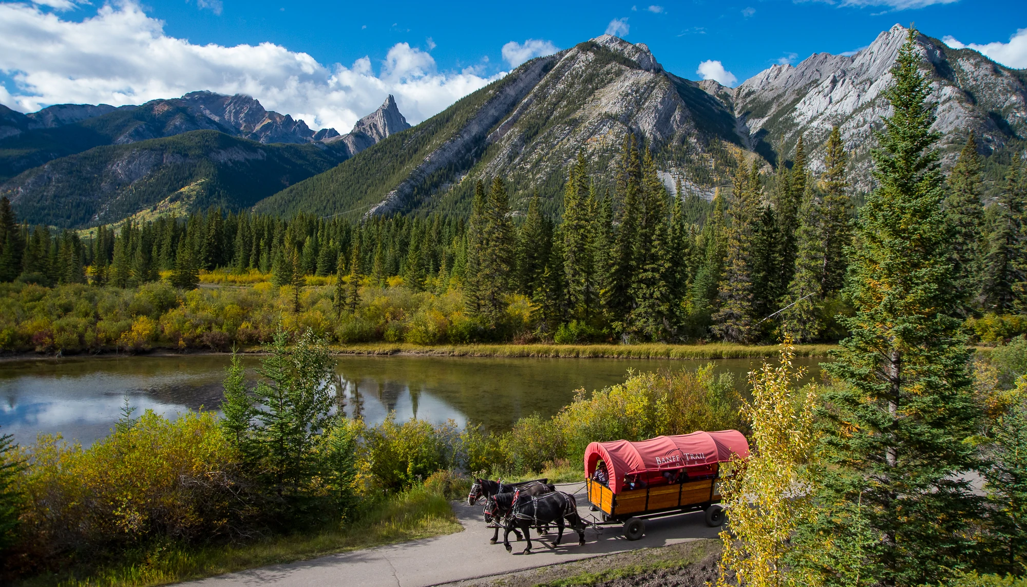 Horses pulling a wagon with Mountain views next to the Bow river