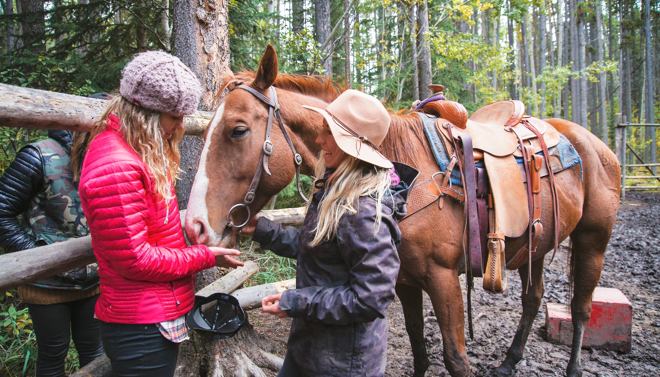 Two ladies petting and feeding a horse at the cowboy cookout in Banff