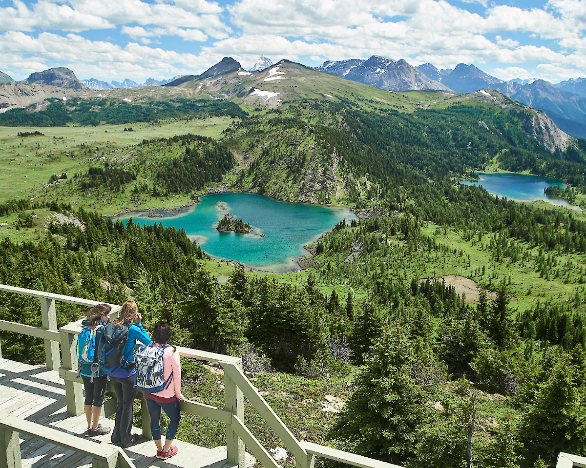 Standish viewpoint at Sunshine Meadows