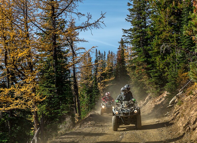 Ripping down the ATV trails on a guided tour