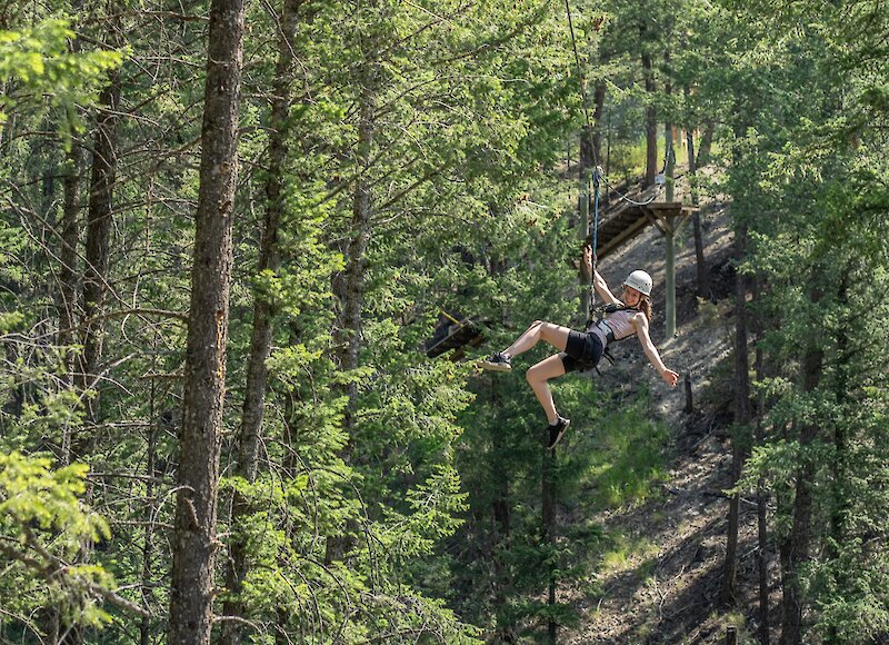 Zipline through the tree tops