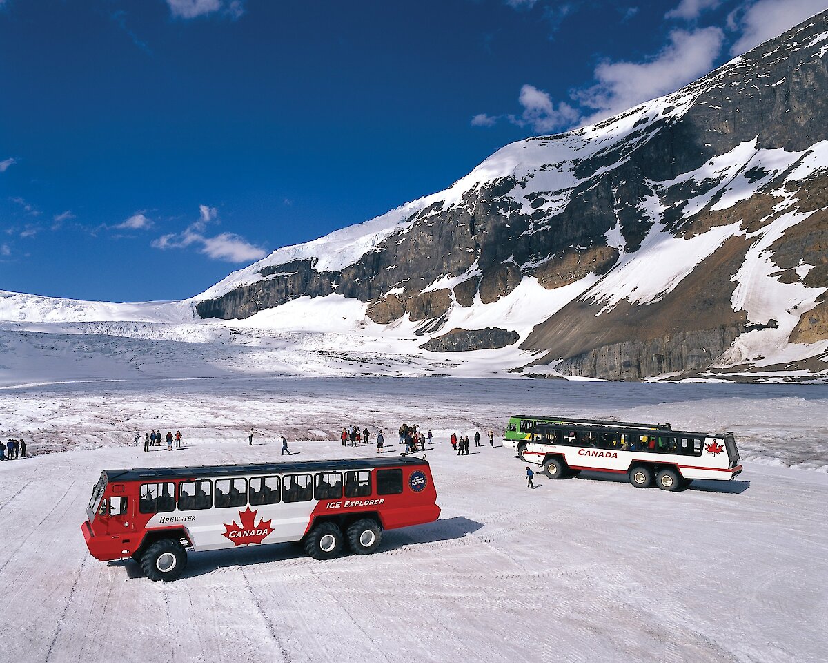 Two Ice Explorer buses on the Columbia Icefield Glacier