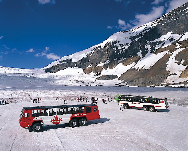 Columbia Icefield Discovery Tour
