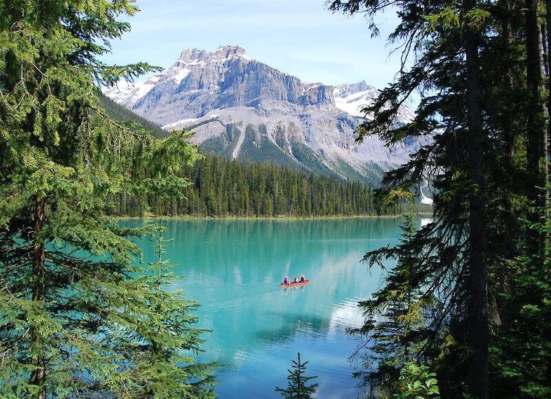 Emerald lake peeping through the trees