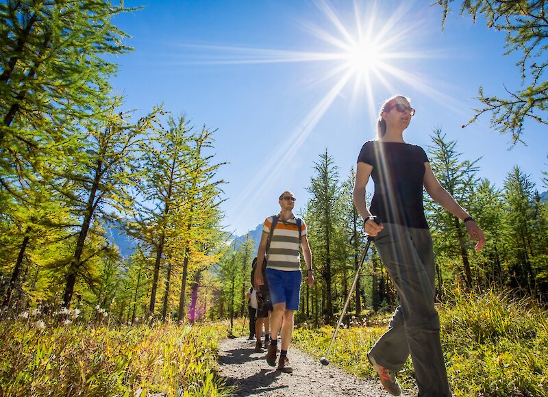 Hiking in the mountains