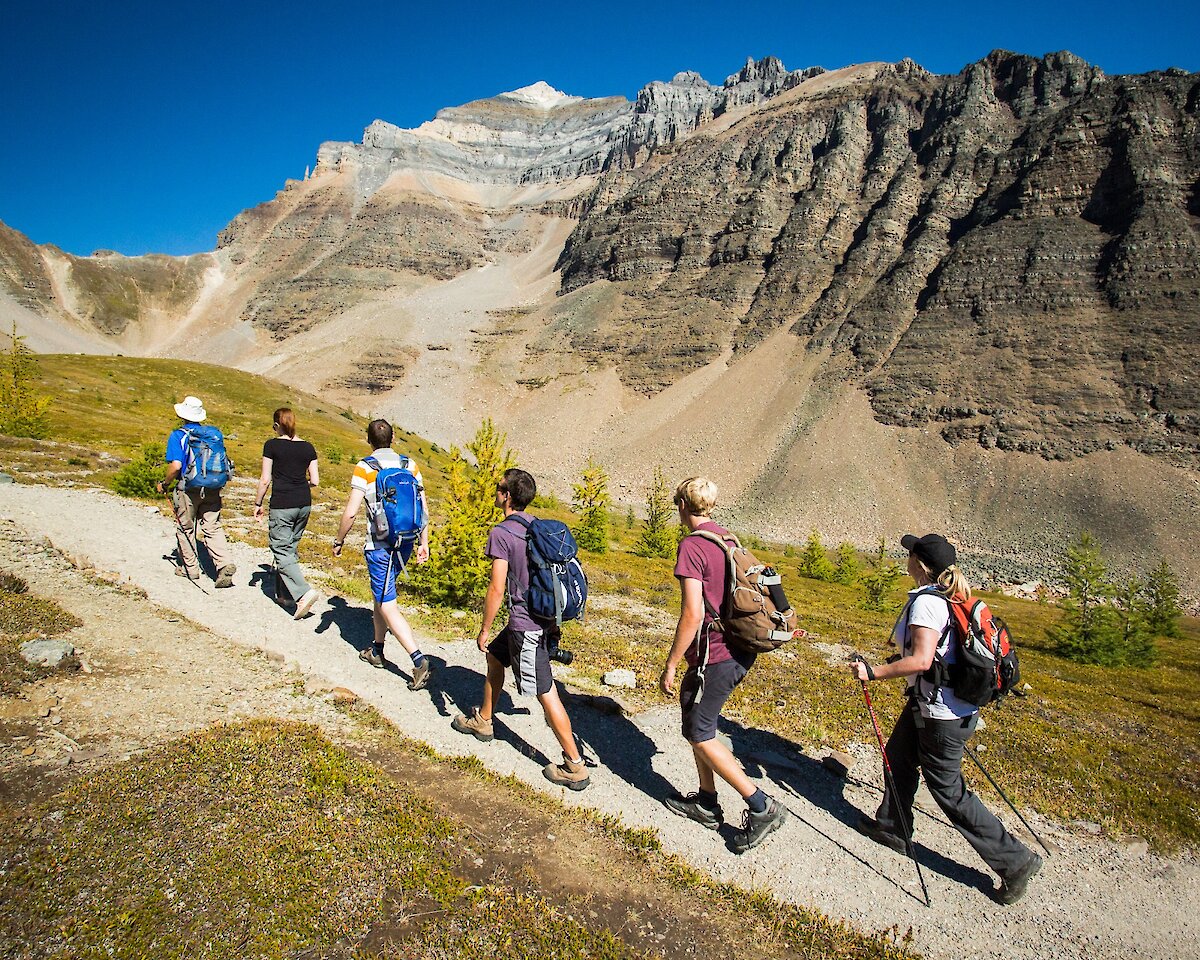 Hiking up the trails at Larch Valley