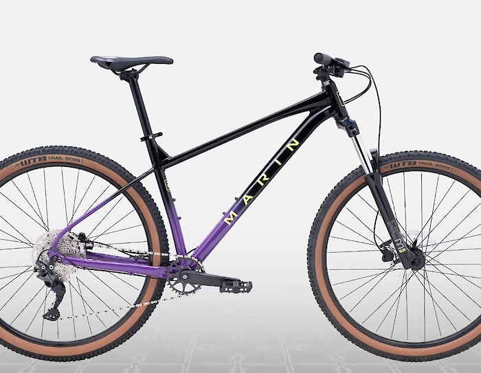 Marin Bobcat Trail mountain bike rentals