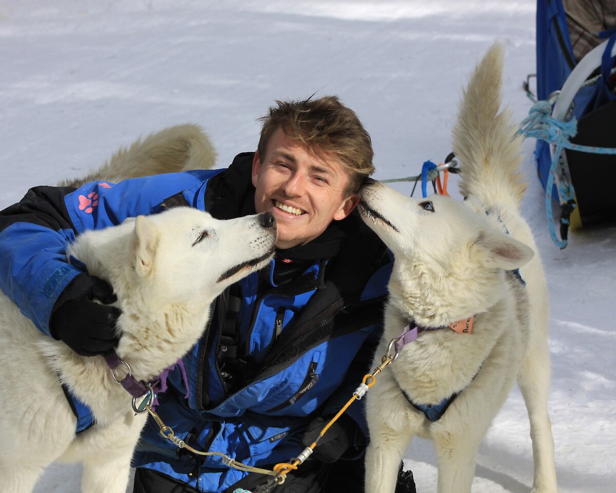 A man hugging two dogs in the snow on a dog sled tour in Banff