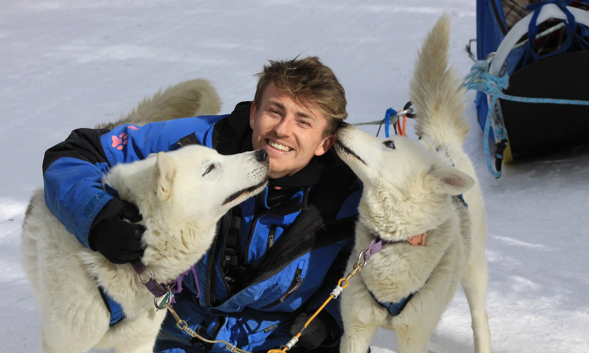 A man hugging two dogs in the snow on a dog sled tour in Banff