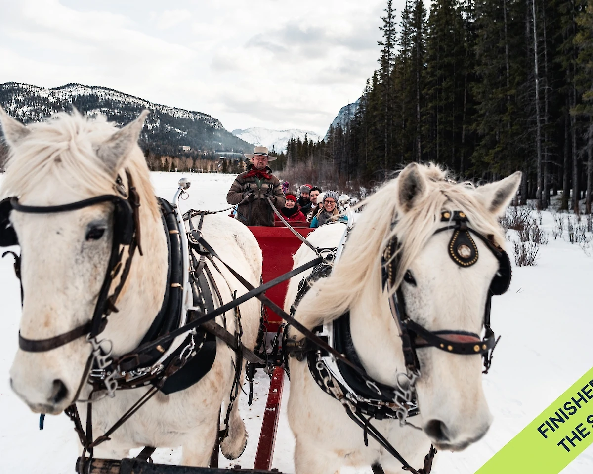 Two horse pulling a sleigh in the Meadows of Banff