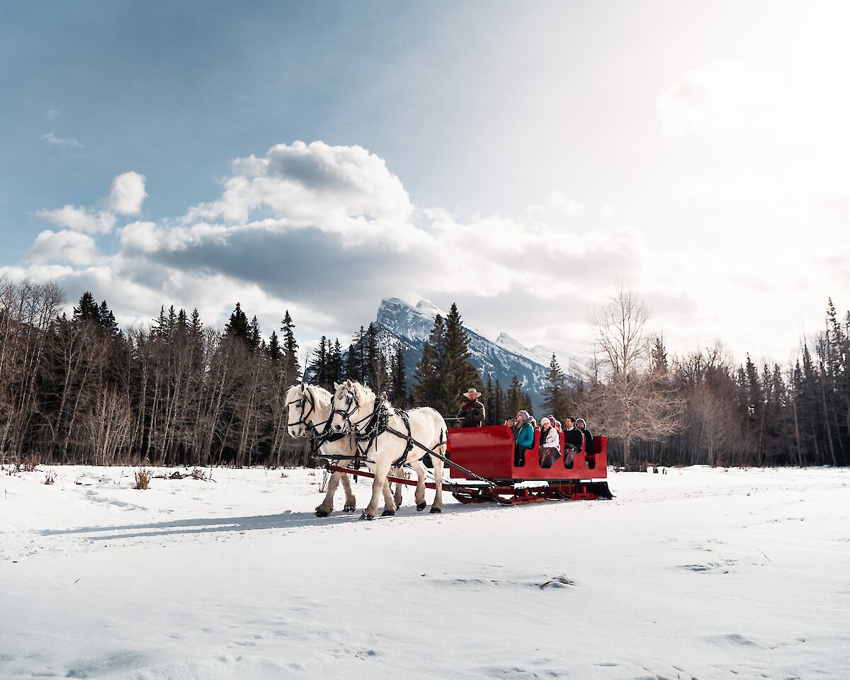 Public sleigh ride through the meadows of Banff