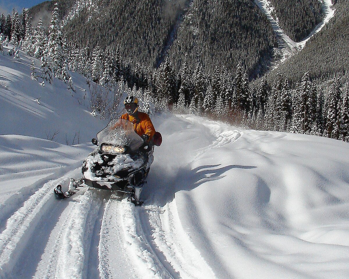 Shredding the trails on a snowmobile tour in Golden