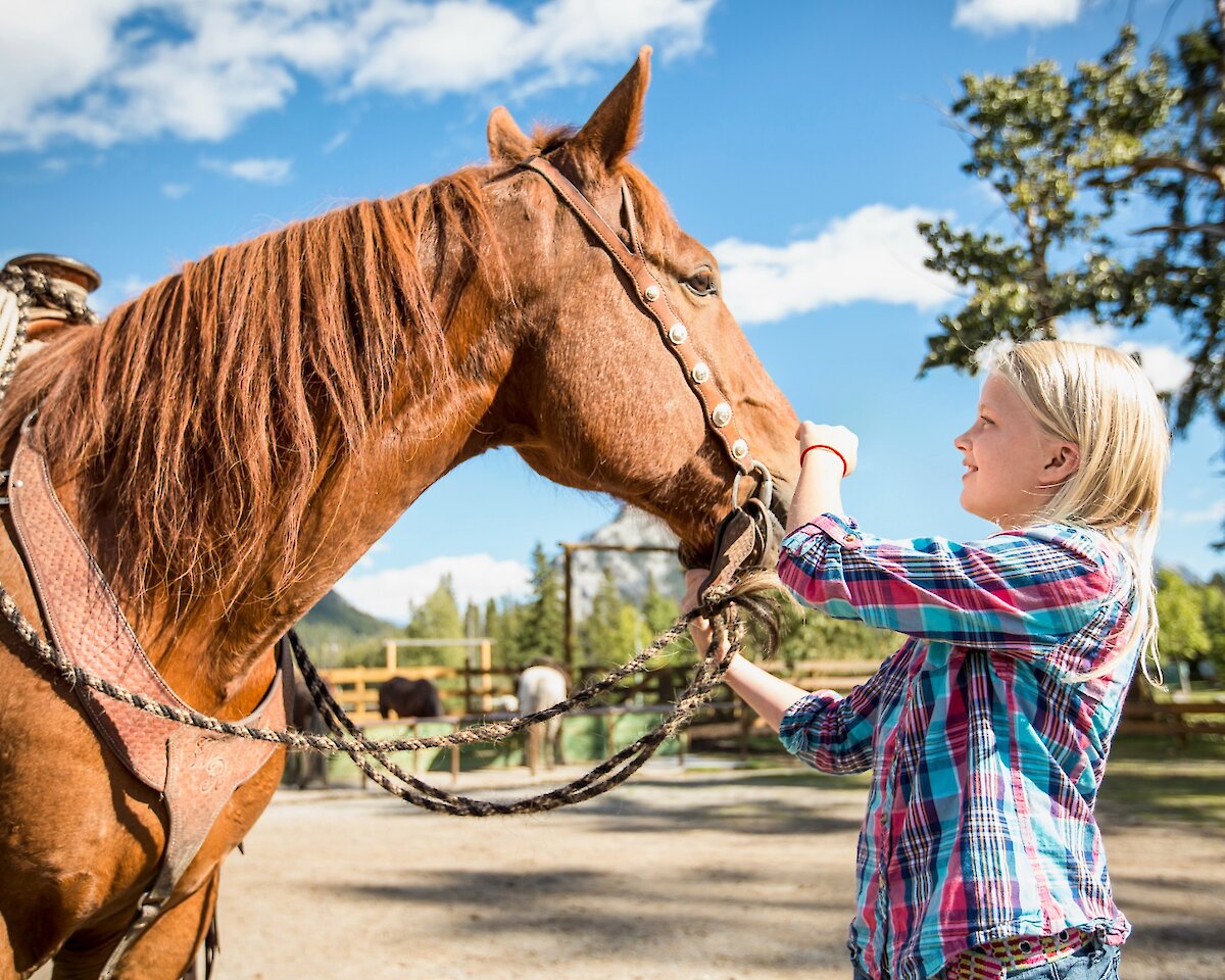 Girl petting horse at the Warner Stables in Banff