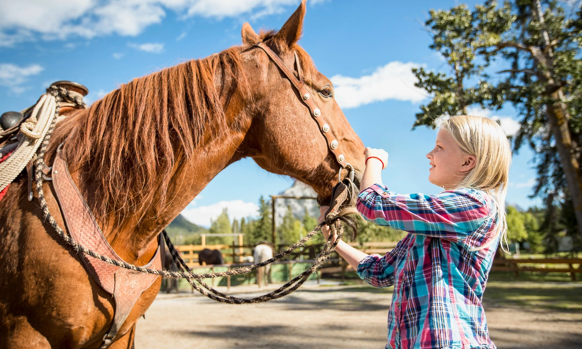 Girl petting horse at the Warner Stables in Banff